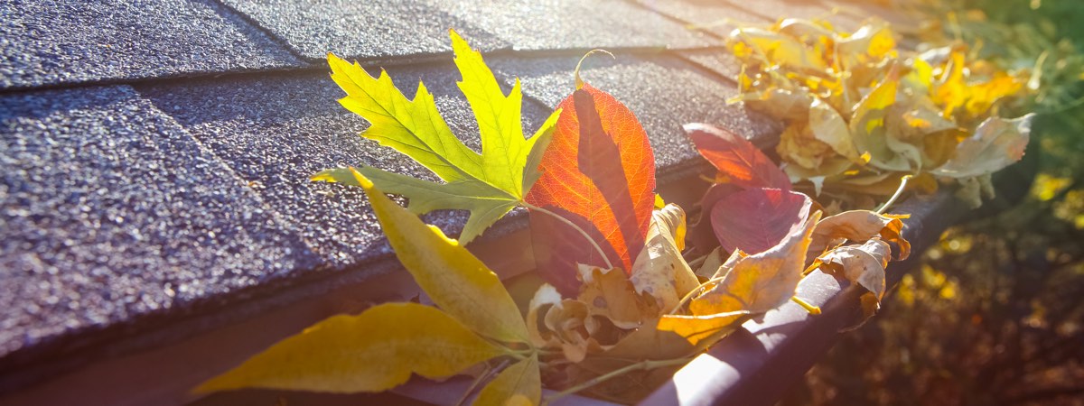 Leaves blocking guttering in autumn